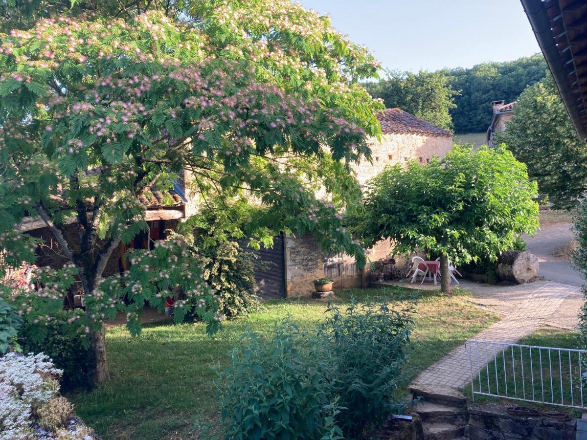 La Ferme Du Paradis Verfeil-sur-Seye Esterno foto